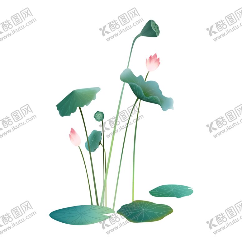 编号：92371506251446133739【酷图网】源文件下载-荷花插画