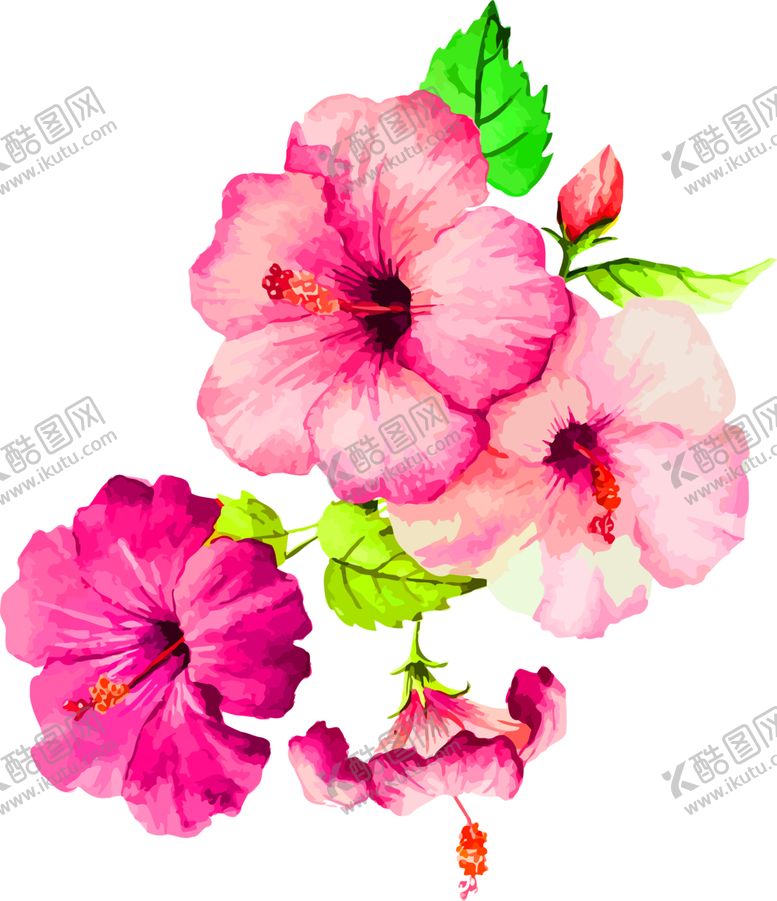 编号：52925410210720035842【酷图网】源文件下载-花素材