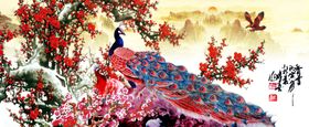 孔雀横幅挂画