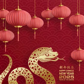 蛇年质感金色图案图案2025中国风素材