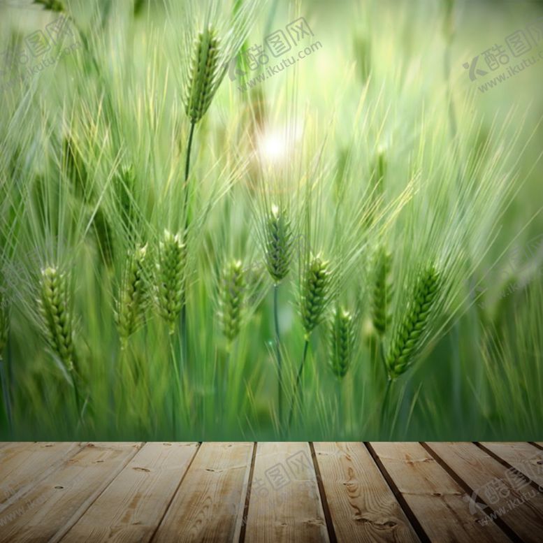 编号：42778009241933411984【酷图网】源文件下载-地板电商淘宝直通车背景