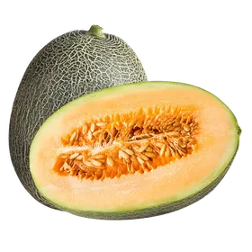 哈密瓜