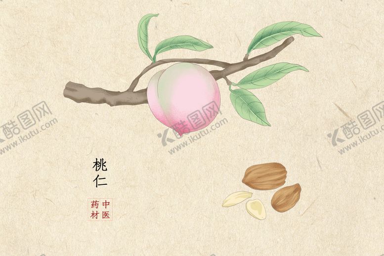 编号：48607309301741327235【酷图网】源文件下载-中药材桃仁