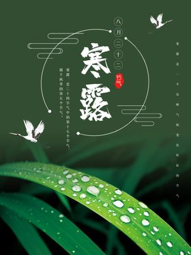 唯美24节气寒露海报