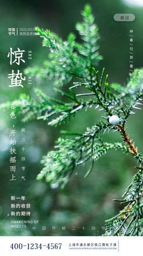 惊蛰