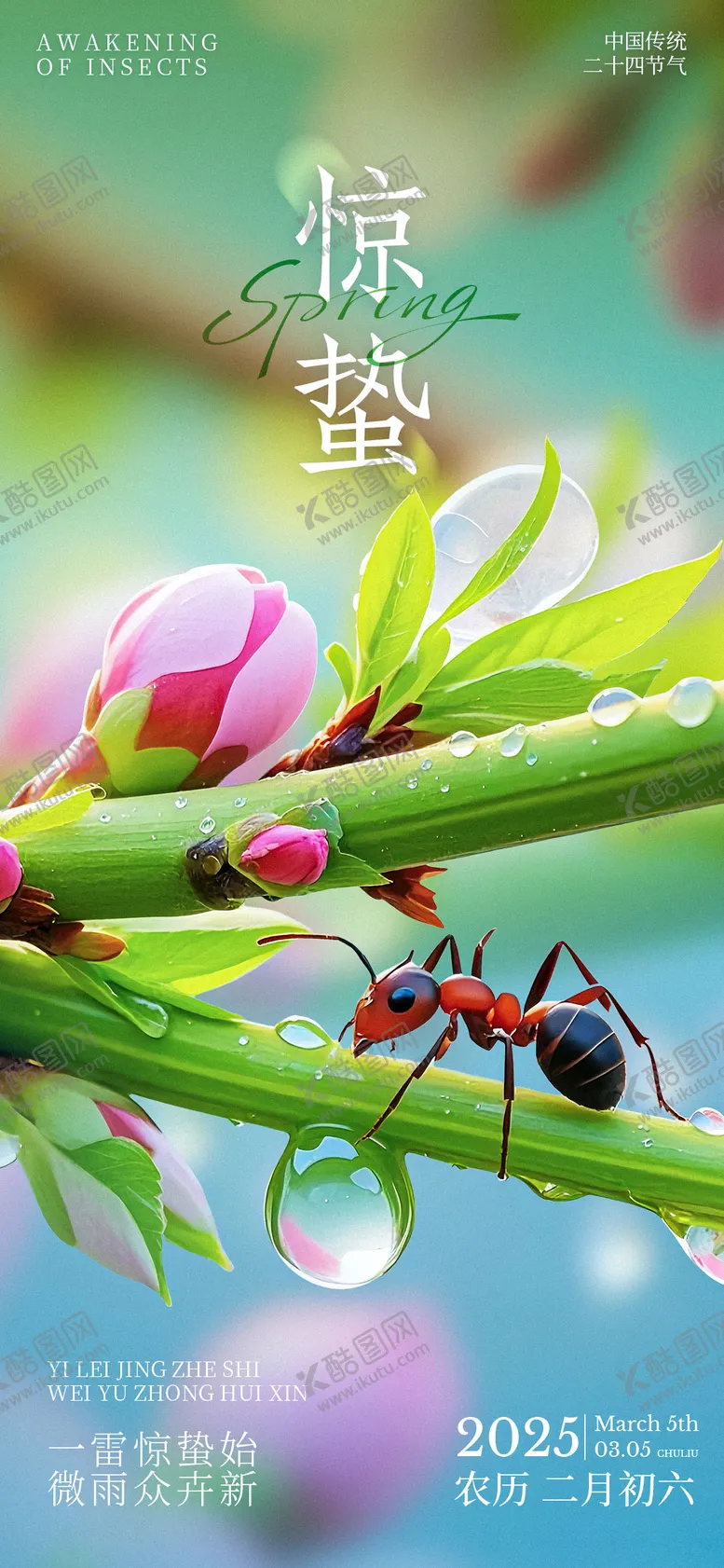 编号：50813203051052015939【酷图网】源文件下载-惊蛰节日海报