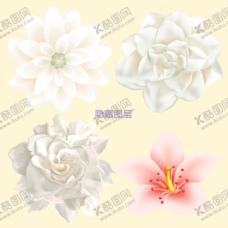 编号：42319509122041021652【酷图网】源文件下载-花朵素材俯视大丽花