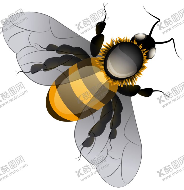 编号：94948309272005591976【酷图网】源文件下载-蜜蜂