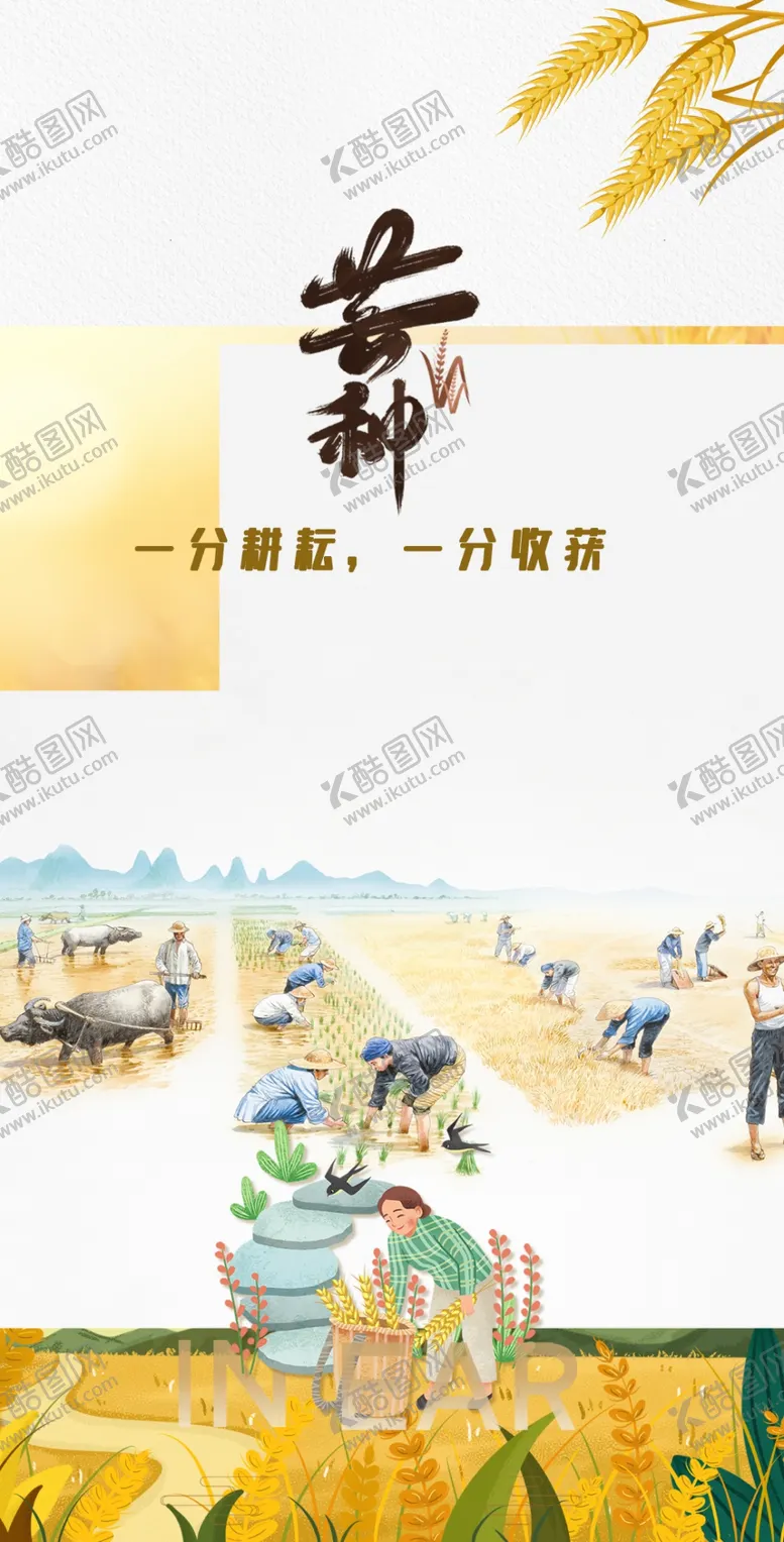 编号：66143602251450146484【酷图网】源文件下载-芒种节气宣传海报展板