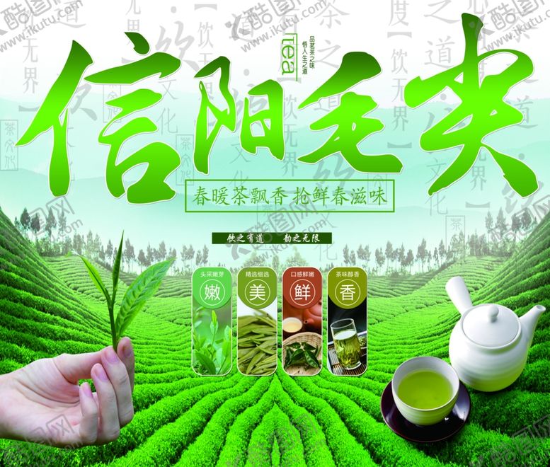 编号：43645712222351585164【酷图网】源文件下载-信阳毛尖海报