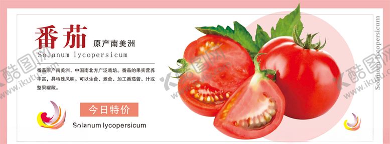 编号：49894910071459039911【酷图网】源文件下载-今日特价