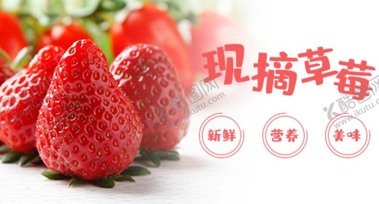 编号：59276309140116183042【酷图网】源文件下载-现摘草莓