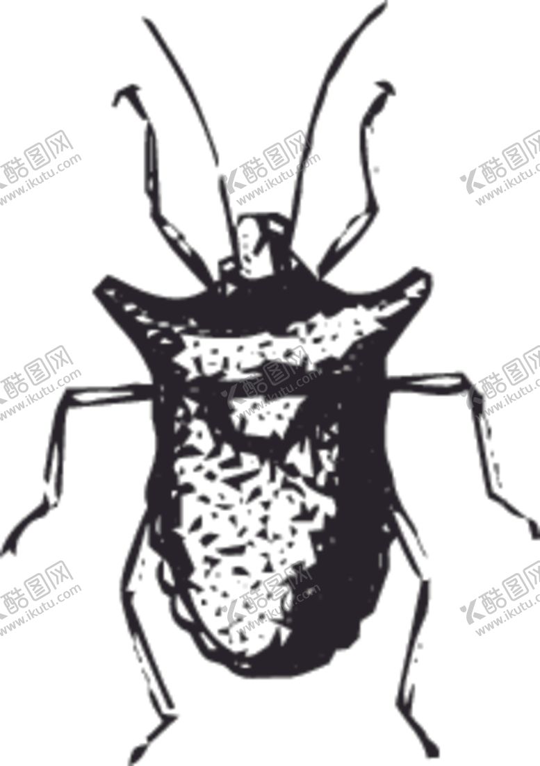 编号：66170407041701547673【酷图网】源文件下载-自然昆虫标本插画
