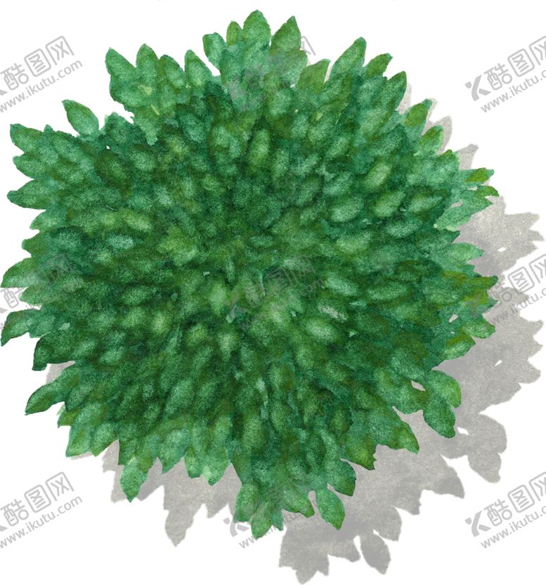 编号：93393109191926225287【酷图网】源文件下载-手绘植物