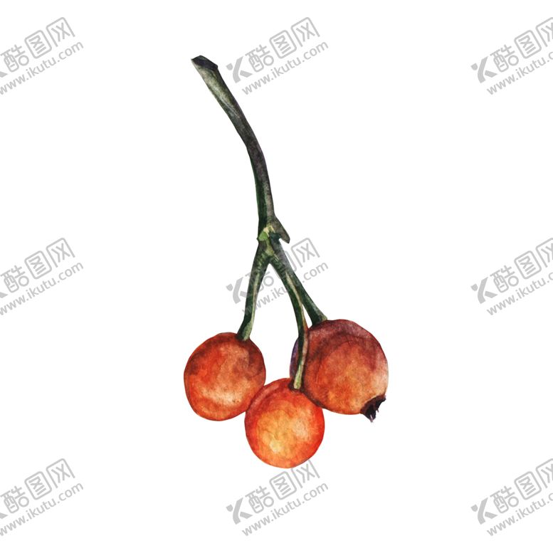 编号：82186709261131502523【酷图网】源文件下载-北欧手绘插画