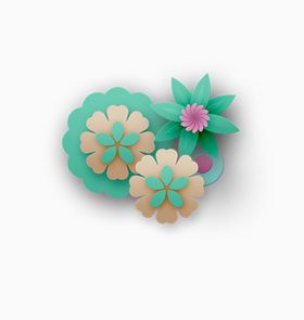 牡丹花卉