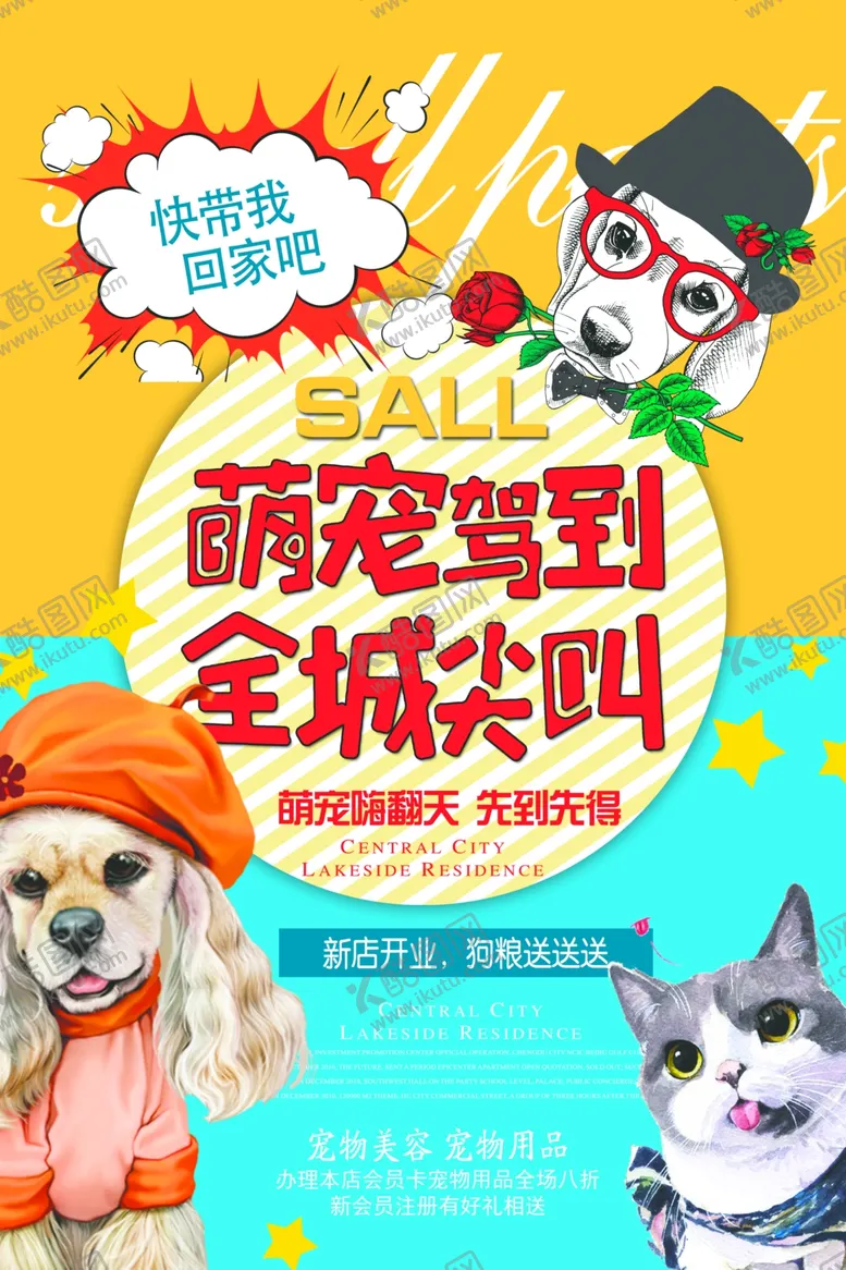 编号：10886804180218392173【酷图网】源文件下载-宠物海报