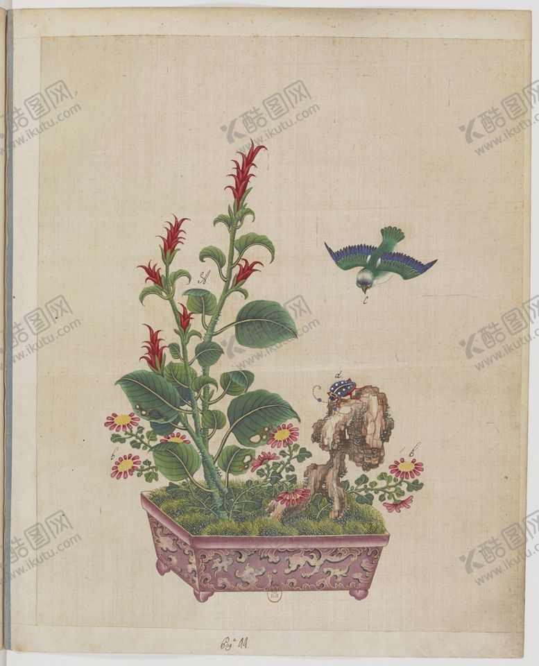 编号：57200504181444099129【酷图网】源文件下载-盆景花鸟