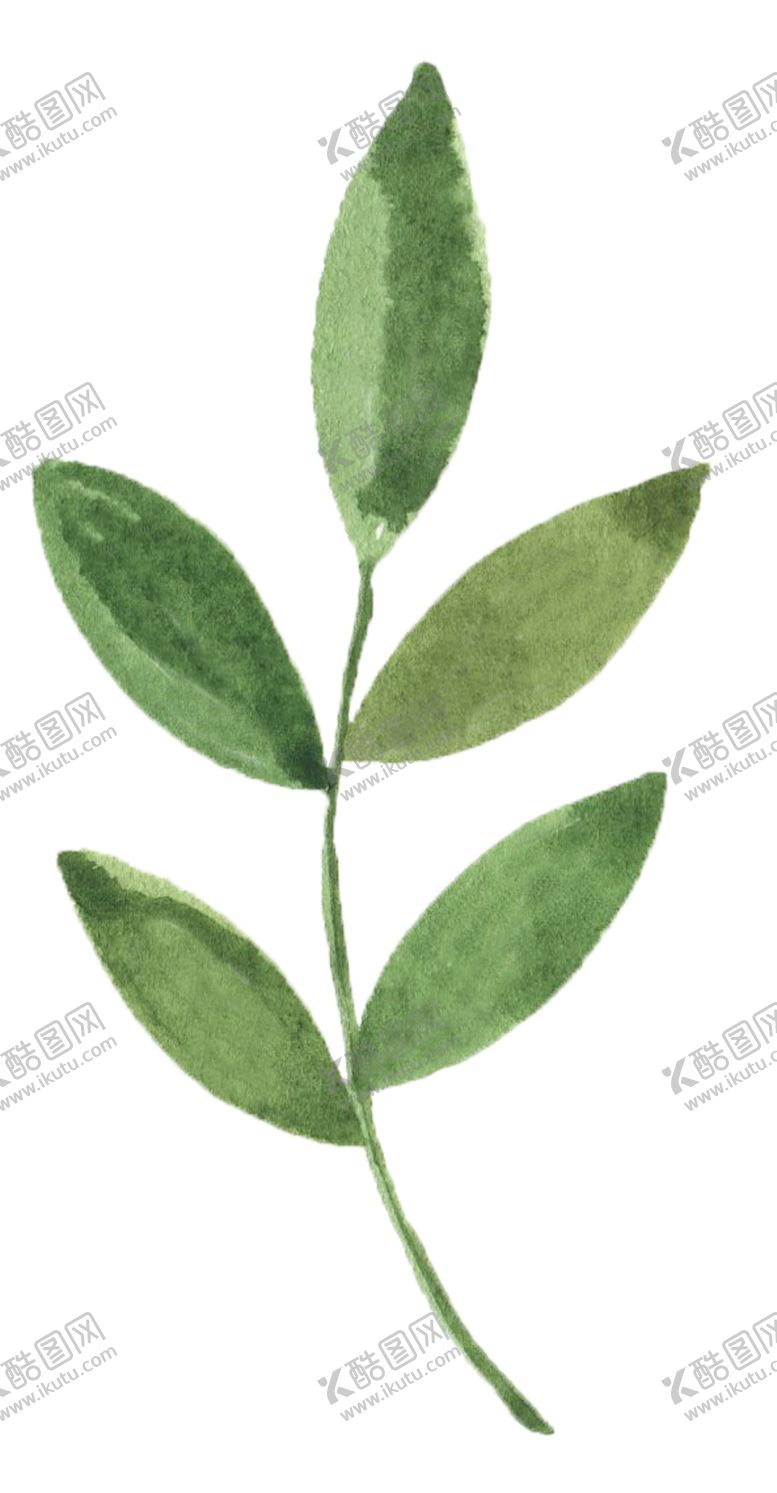 编号：83068805070724528814【酷图网】源文件下载-手绘植物花卉
