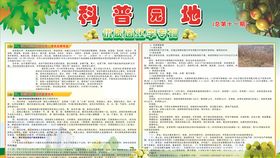 科普园地宣传栏