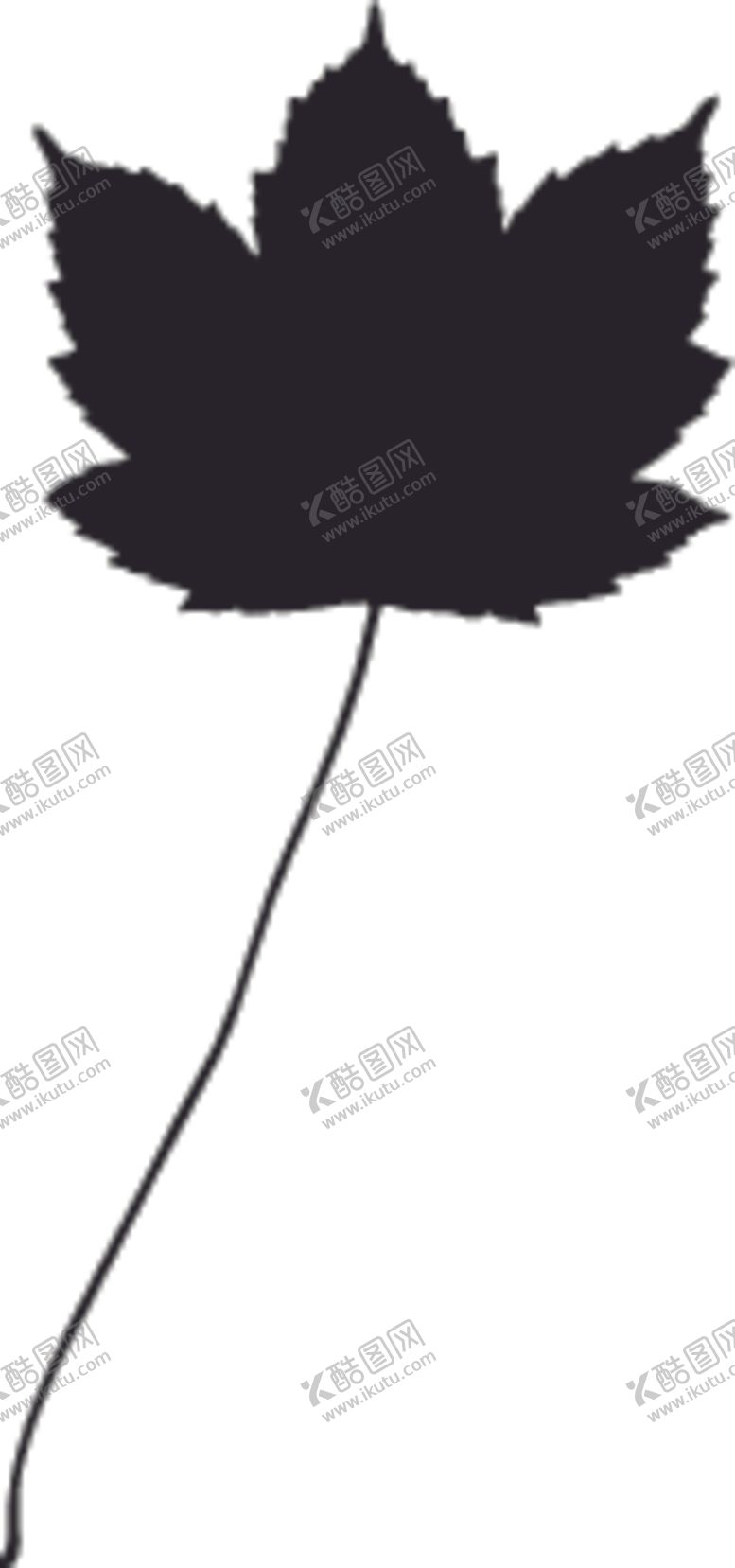 编号：90967309281822097229【酷图网】源文件下载-植物系列枫树叶