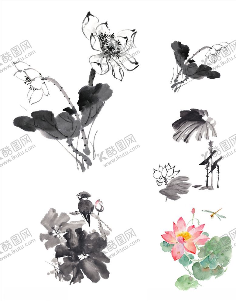 编号：92832009241609214748【酷图网】源文件下载-水墨荷花荷叶