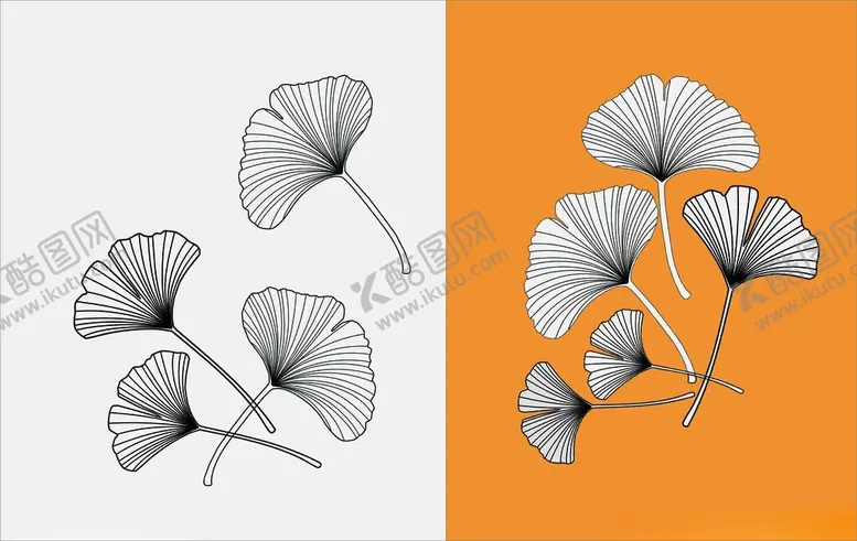 编号：79401012040944217159【酷图网】源文件下载-银杏叶