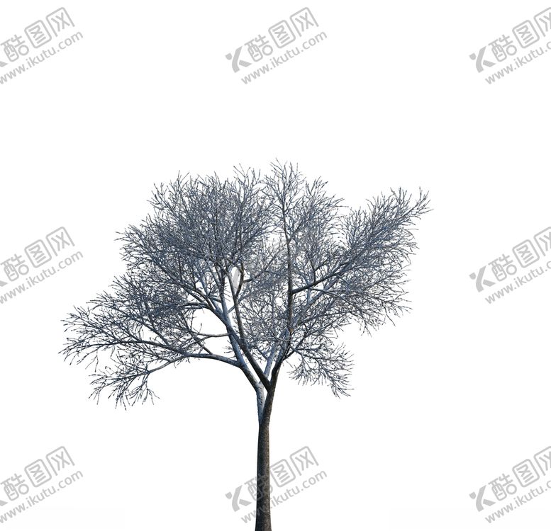 编号：80669306302341024263【酷图网】源文件下载-树木