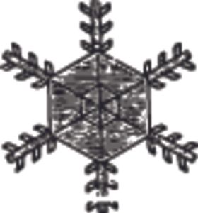 黑白手绘雪花