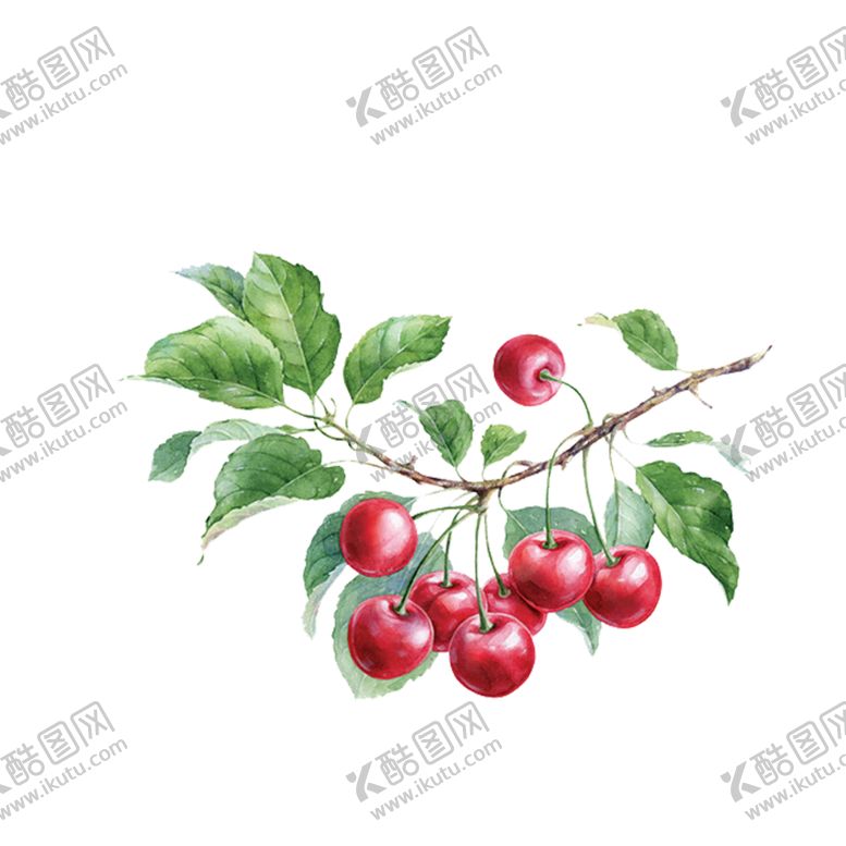 编号：76304506251843576873【酷图网】源文件下载-樱桃