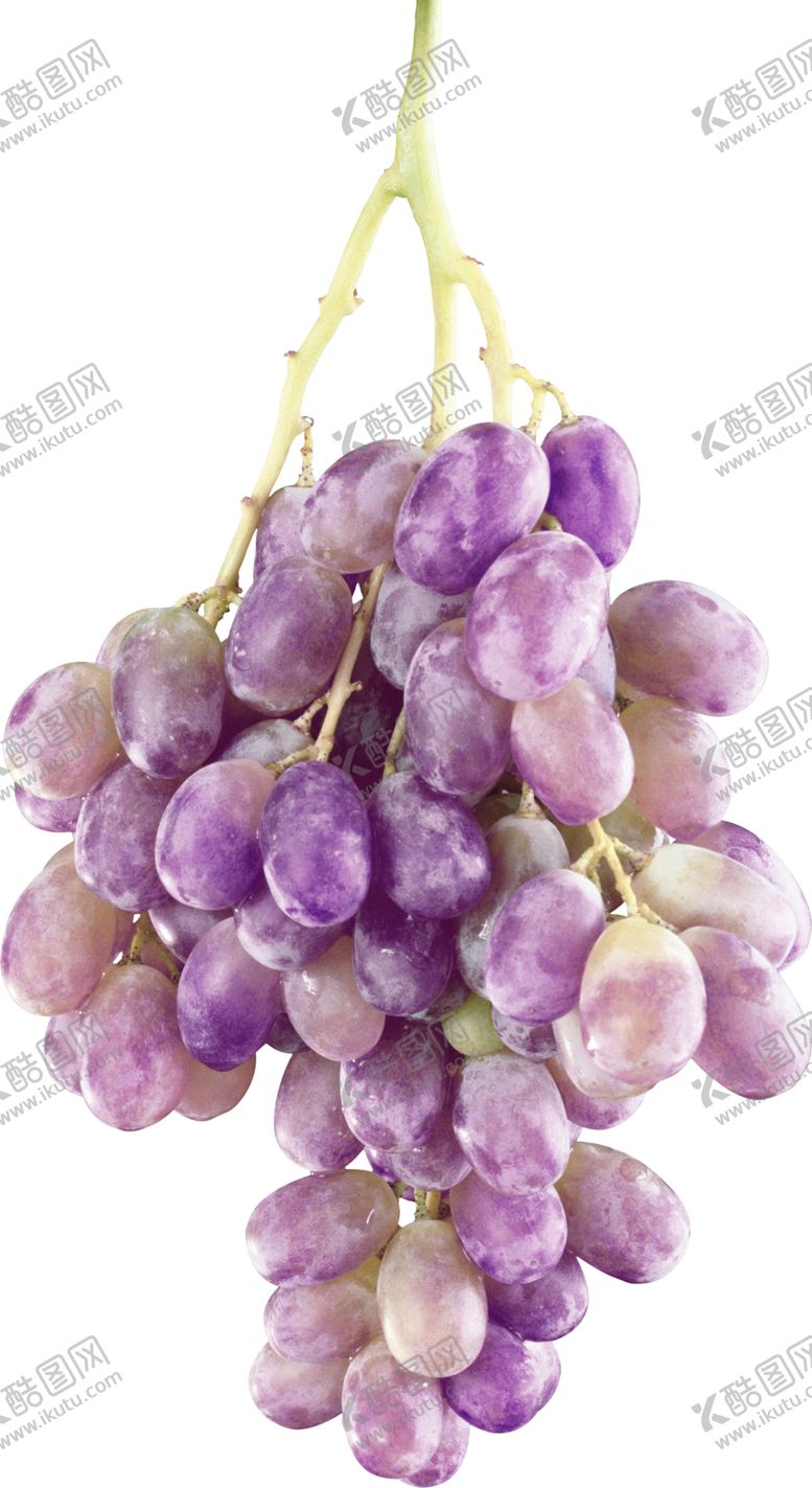 编号：47102606182015356790【酷图网】源文件下载-葡萄