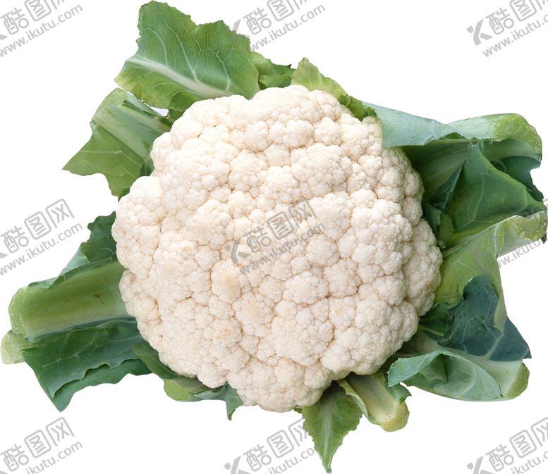 编号：50241507061951263376【酷图网】源文件下载-菜花