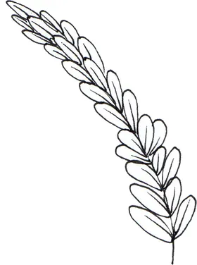 手绘画
