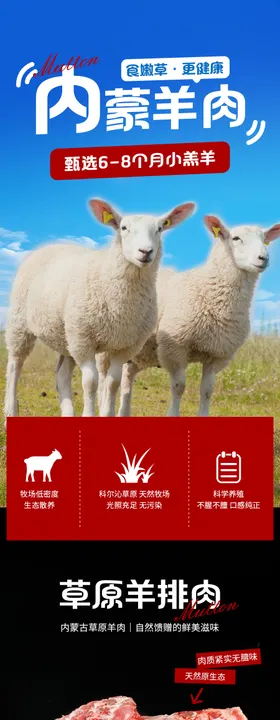羊肉详情页