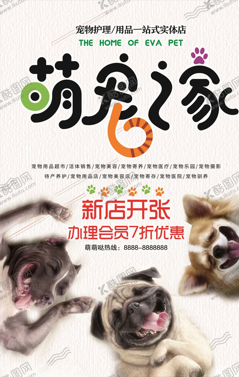 编号：21381005101439188530【酷图网】源文件下载-宠物海报