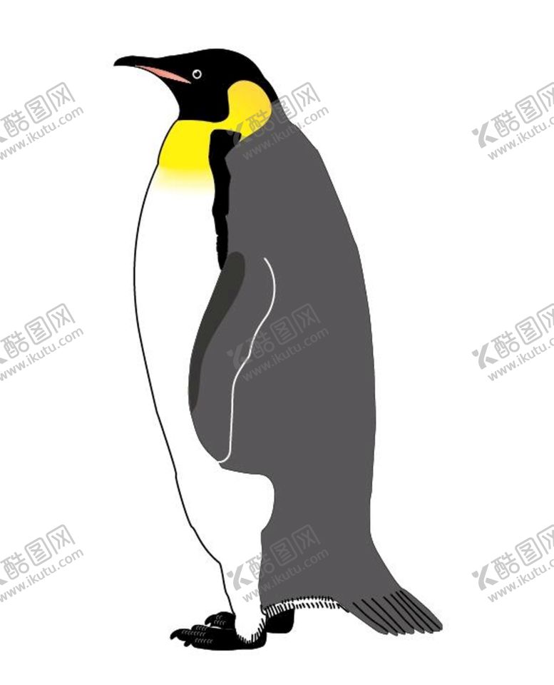 编号：21662802090132508382【酷图网】源文件下载-企鹅