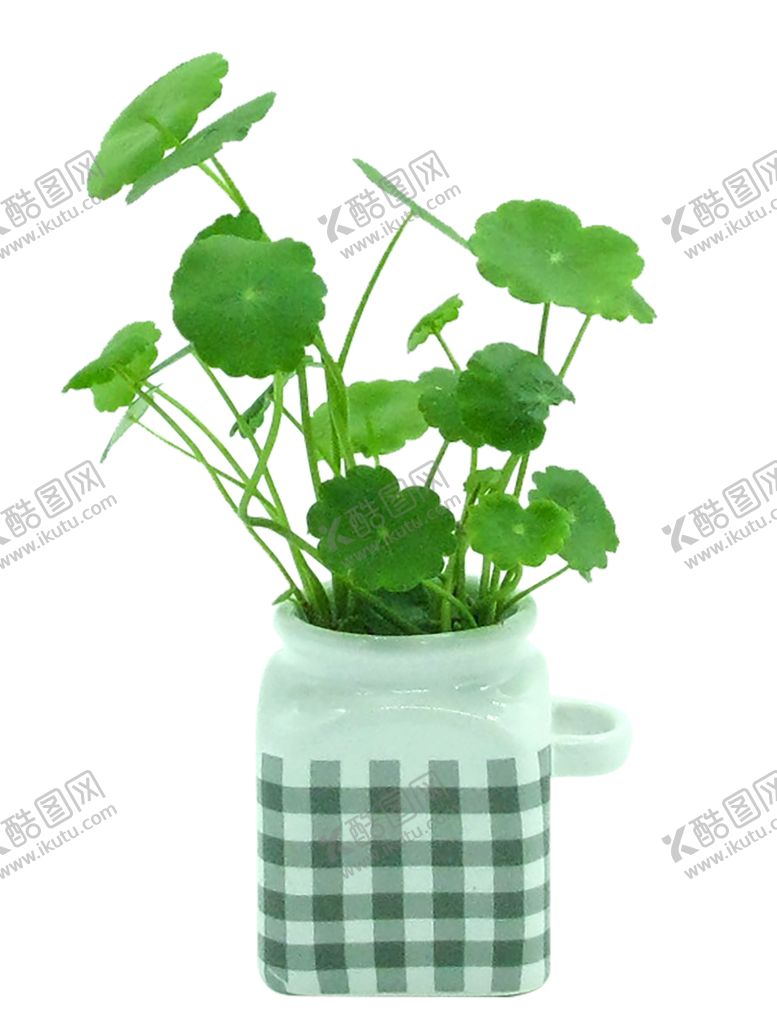 编号：61830110120934057807【酷图网】源文件下载-绿色植物