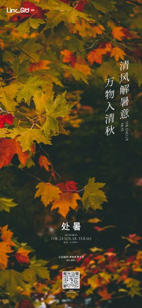 处暑银杏叶古建场景微单