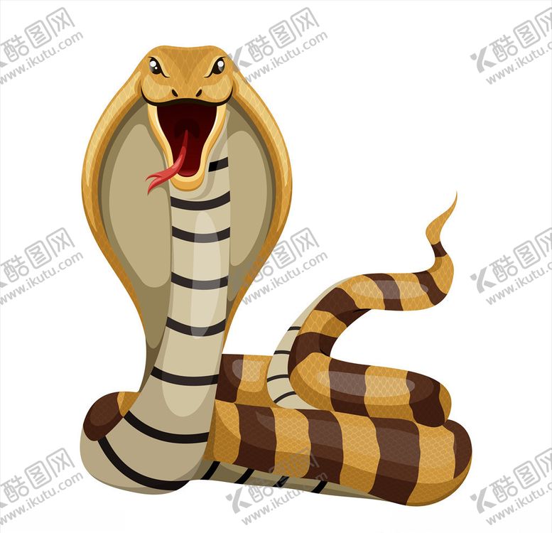 编号：27936310111727452601【酷图网】源文件下载-眼镜蛇