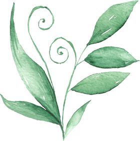 海报元素花草元素展架元素