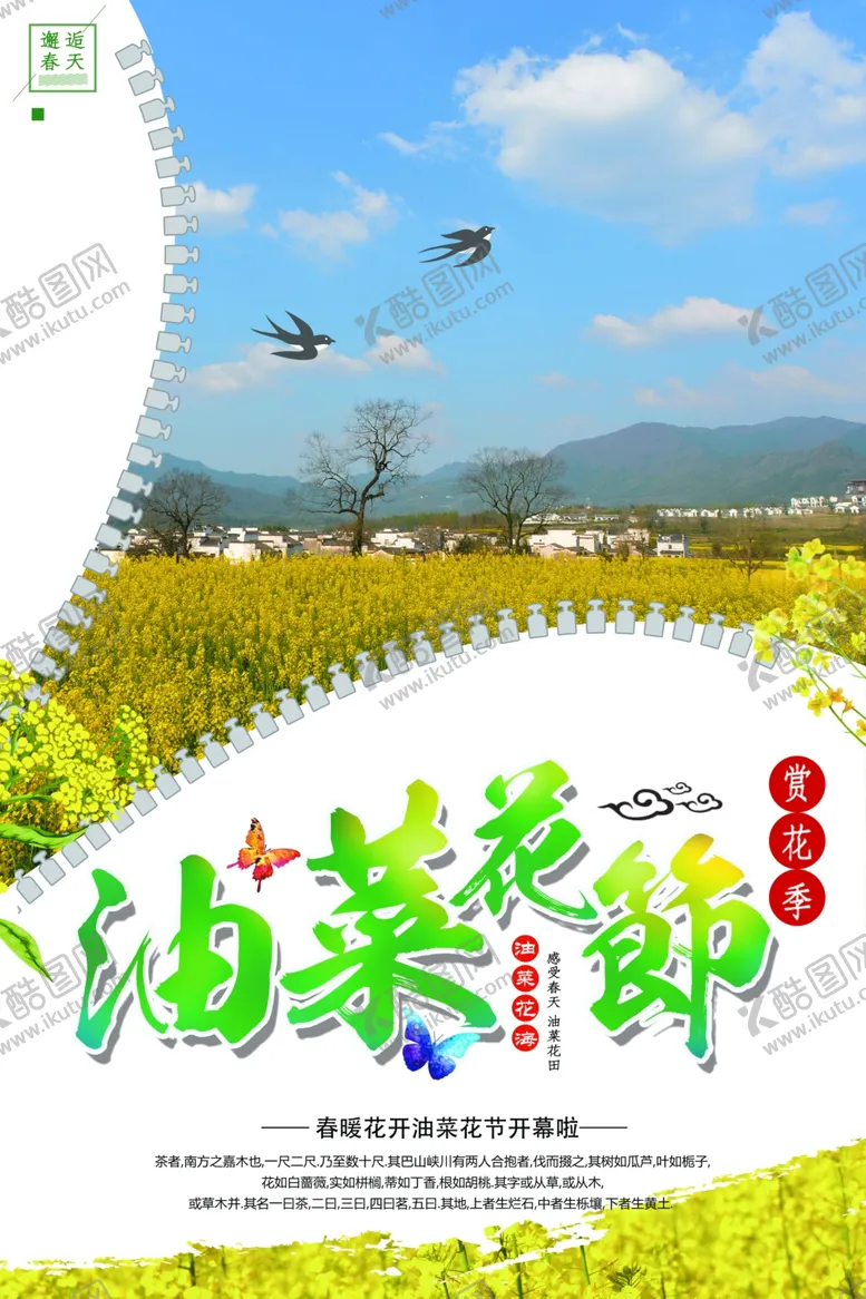 编号：25253512222035189324【酷图网】源文件下载-油菜花