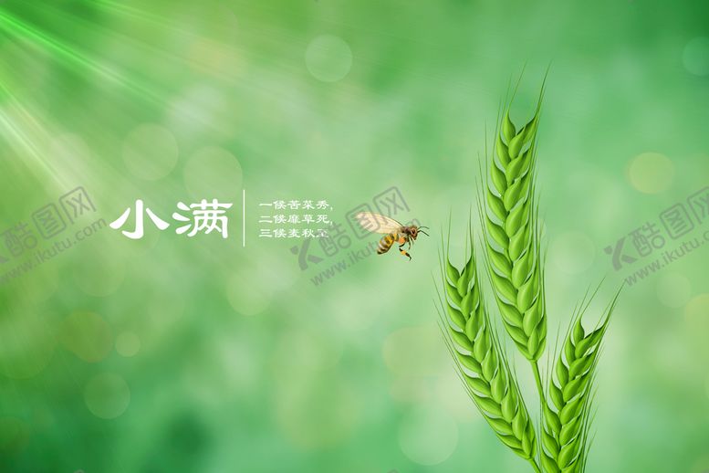 编号：25097409130939425169【酷图网】源文件下载-唯美背景