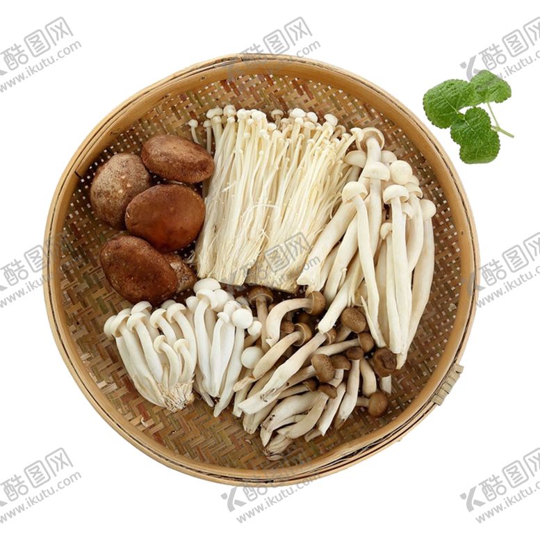 编号：99109610212321449670【酷图网】源文件下载-香菇拼盘