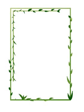 绿植框