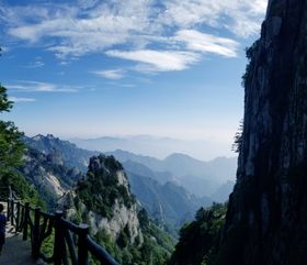 春天爬山绿树松树蓝天