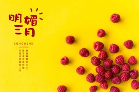 三月你好
