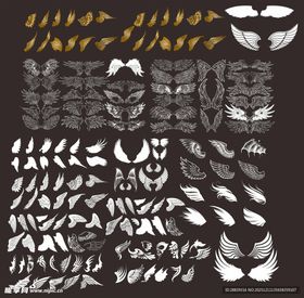 多样翅膀图案设计素材