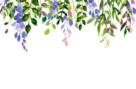 花边