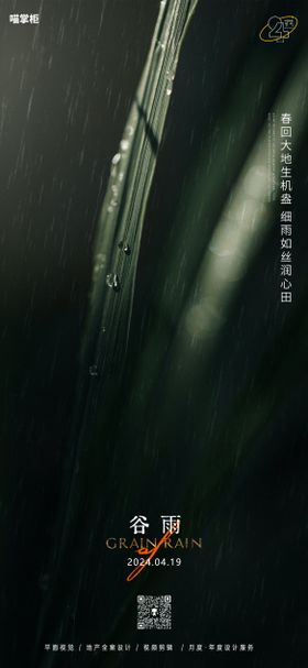 简约谷雨节气宣传