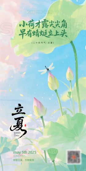 立夏节气海报荷花二十四荷叶